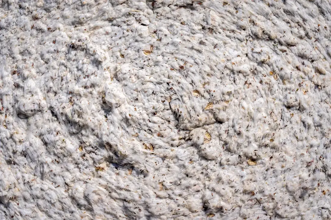Close-up of raw cotton fibers showing natural texture